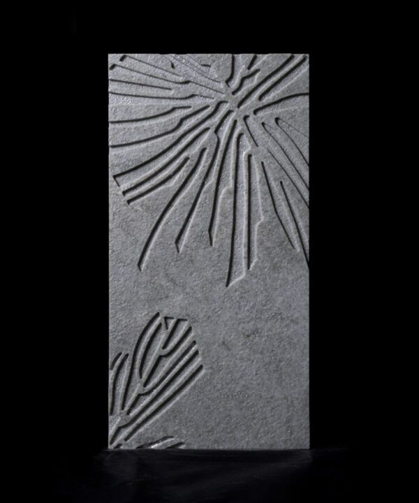 XYLEM